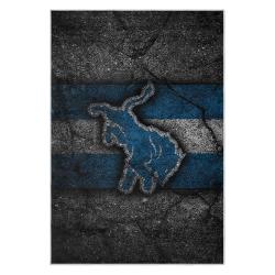 nfl detroit lions football team logo sport carpet area rug home decor gift for fans dlw170