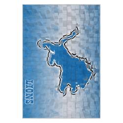 nfl detroit lions football team logo sport carpet area rug home decor gift for fans dlw178