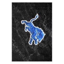 nfl detroit lions football team logo sport carpet area rug home decor gift for fans dlw186