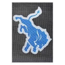 nfl detroit lions football team logo sport carpet area rug home decor gift for fans dlw189