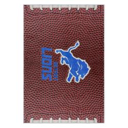 nfl detroit lions football team logo sport carpet area rug home decor gift for fans dlw201