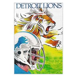nfl detroit lions football team logo sport carpet area rug home decor gift for fans dlw204