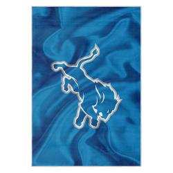 nfl detroit lions football team logo sport carpet area rug home decor gift for fans dlw207