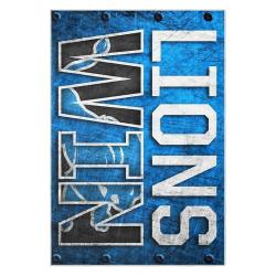 nfl detroit lions football team logo sport carpet area rug home decor gift for fans dlw208