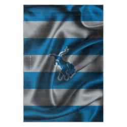 nfl detroit lions football team logo sport carpet area rug home decor gift for fans dlw214