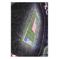 nfl detroit lions football team logo sport carpet area rug home decor gift for fans dlw226
