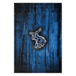 nfl detroit lions football team logo sport carpet area rug home decor gift for fans dlw32