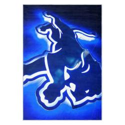 nfl detroit lions football team logo sport carpet area rug home decor gift for fans dlw36
