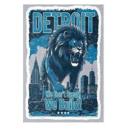 nfl detroit lions football team logo sport carpet area rug home decor gift for fans dlw37