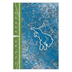 nfl detroit lions football team logo sport carpet area rug home decor gift for fans dlw38