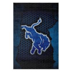 nfl detroit lions football team logo sport carpet area rug home decor gift for fans dlw48