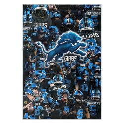 nfl detroit lions football team logo sport carpet area rug home decor gift for fans dlw52