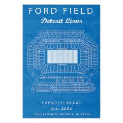 nfl detroit lions football team logo sport carpet area rug home decor gift for fans dlw55