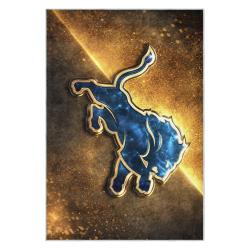 nfl detroit lions football team logo sport carpet area rug home decor gift for fans dlw68