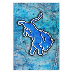 nfl detroit lions football team logo sport carpet area rug home decor gift for fans dlw82
