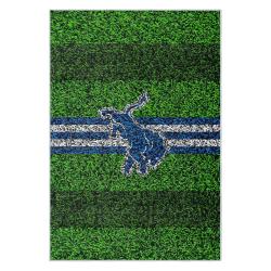 nfl detroit lions football team logo sport carpet area rug home decor gift for fans dlw85