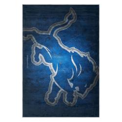 nfl detroit lions football team logo sport carpet area rug home decor gift for fans dlw88