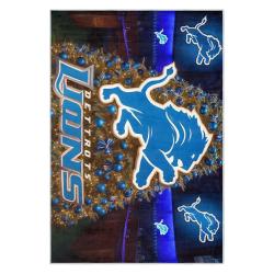 nfl detroit lions football team logo sport carpet area rug home decor gift for fans dlw90