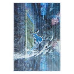 nfl detroit lions football team logo sport carpet area rug home decor gift for fans dlw98