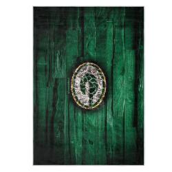 nfl green bay packers area rug non slip football carpet home decor gift idea for fans gbp130