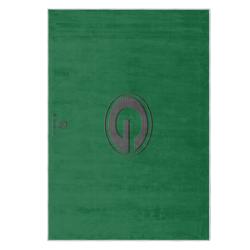 nfl green bay packers area rug non slip football carpet home decor gift idea for fans gbp184