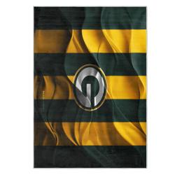 nfl green bay packers area rug non slip football carpet home decor gift idea for fans gbp50