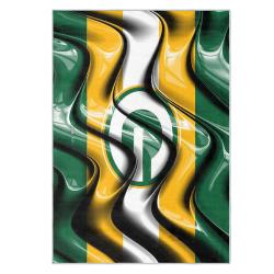 nfl green bay packers area rug non slip football carpet home decor gift idea for fans gbp94