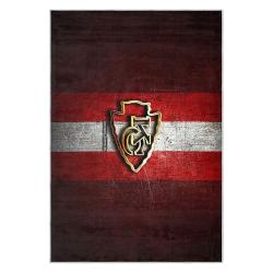 nfl kansas city chiefs football team logo sport carpet area rug home decor gift kccw124