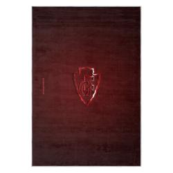 nfl kansas city chiefs football team logo sport carpet area rug home decor gift kccw164