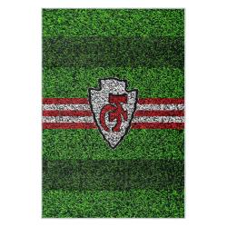 nfl kansas city chiefs football team logo sport carpet area rug home decor gift kccw177