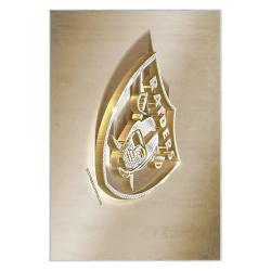 nfl las vegas raiders football team logo sport carpet area rug home decor gift lvrw158