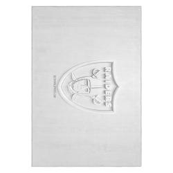 nfl las vegas raiders football team logo sport carpet area rug home decor gift lvrw220