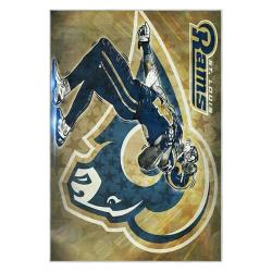 nfl los angeles rams football team logo sport carpet area rug home decor gift lar102