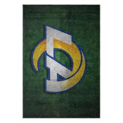 nfl los angeles rams football team logo sport carpet area rug home decor gift lar130