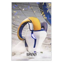 nfl los angeles rams football team logo sport carpet area rug home decor gift lar159
