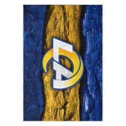 nfl los angeles rams football team logo sport carpet area rug home decor gift lar194