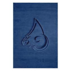 nfl los angeles rams football team logo sport carpet area rug home decor gift lar279