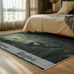 NFL Philadelphia Eagles Footbball Team Logo Sport Carpet Area Rug Home Decor Gift PE144