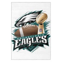 nfl philadelphia eagles footbball team logo sport carpet area rug home decor gift pe104