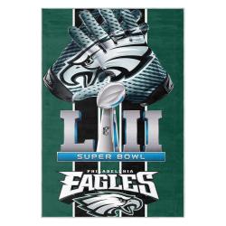 nfl philadelphia eagles footbball team logo sport carpet area rug home decor gift pe108
