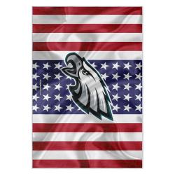 nfl philadelphia eagles footbball team logo sport carpet area rug home decor gift pe113
