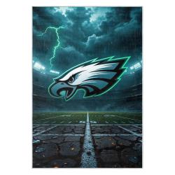 nfl philadelphia eagles footbball team logo sport carpet area rug home decor gift pe115