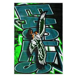 nfl philadelphia eagles footbball team logo sport carpet area rug home decor gift pe121