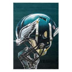 nfl philadelphia eagles footbball team logo sport carpet area rug home decor gift pe124