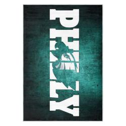 nfl philadelphia eagles footbball team logo sport carpet area rug home decor gift pe127
