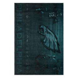 nfl philadelphia eagles footbball team logo sport carpet area rug home decor gift pe134