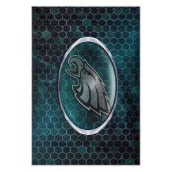nfl philadelphia eagles footbball team logo sport carpet area rug home decor gift pe71