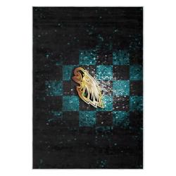 nfl philadelphia eagles footbball team logo sport carpet area rug home decor gift pe83
