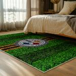nfl pittsburgh steelers football team logo sport carpet area rug home decor bed room psw293