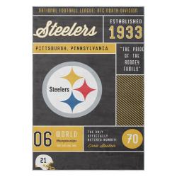 nfl pittsburgh steelers football team logo sport carpet area rug home decor gift psw128